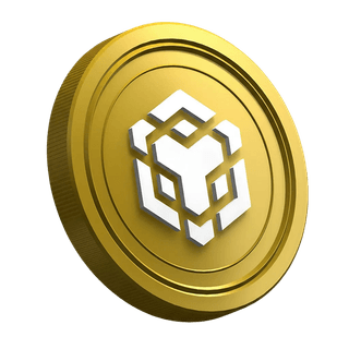 Kryptoměnová mince Binance BNB zobrazená na stránce určené průvodci pro začínající obchodníky
